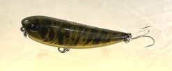 Gladiator Tackle Kozami 60 Topwater Lure -Angling Discount Store 14 dcc9a2a8 827f 4e8e 8ad5 af322e42647d
