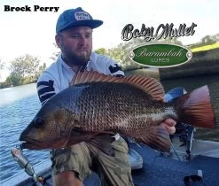 Barambah Lures - Baby Mullet 120mm 11 Barambah Lures - Baby Mullet 120mm -Angling Discount Store 74711842 2346972262279659 2290730166055337984 o