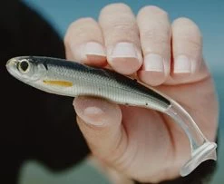 Live Target Slowroll Shiner 125mm -Angling Discount Store 9863