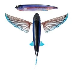 Nomad Flying Fish 200mm -Angling Discount Store FF ULS Ulysses