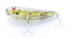 Gladiator Tackle Kozami 60 Topwater Lure -Angling Discount Store KZ5003 large 2ae73765 745c 407b b848 d1352f7f38d8
