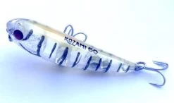 Gladiator Tackle Kozami 60 Topwater Lure -Angling Discount Store KZ6005 large e54db985 111e 4190 8534 0eeb793c6163