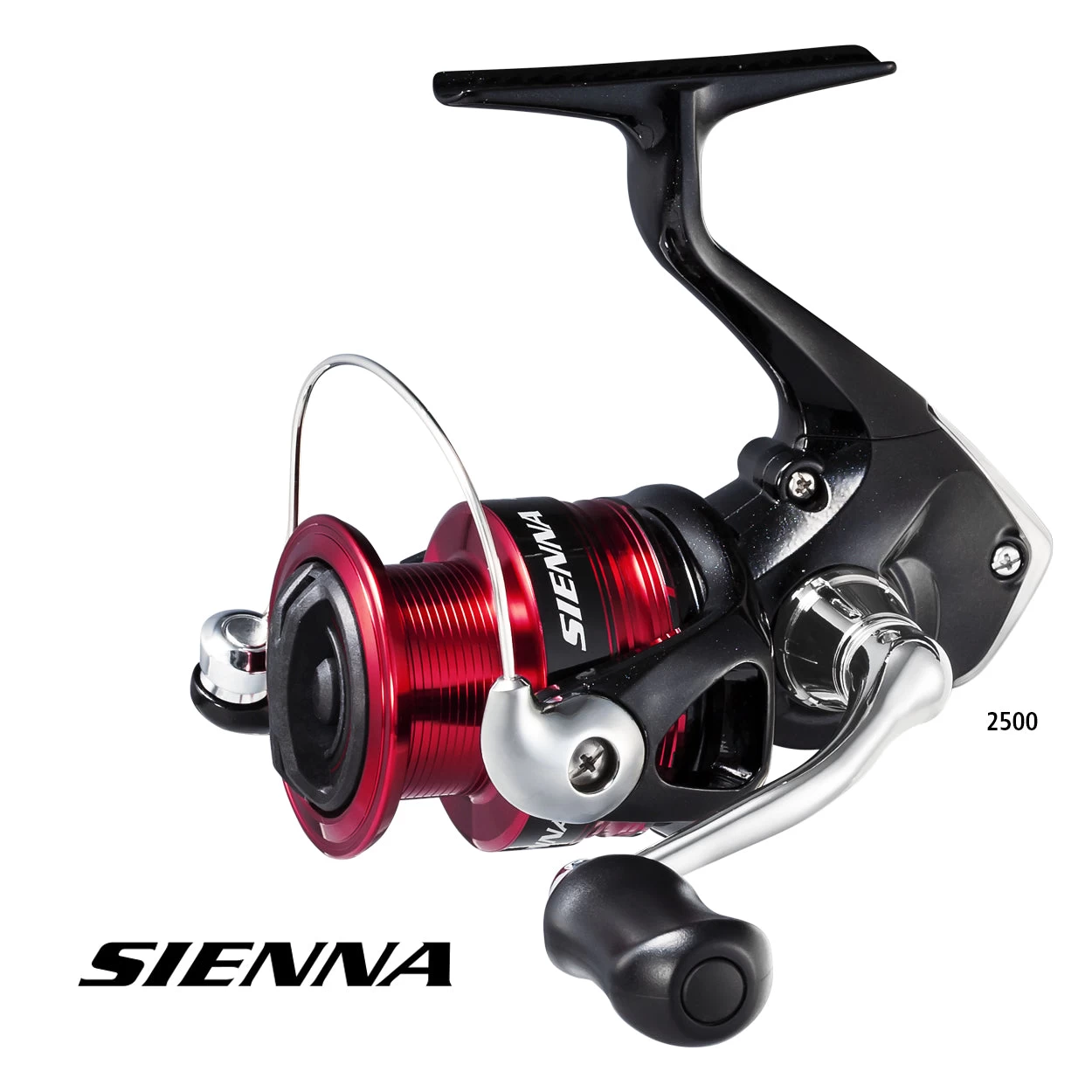 Shimano Sienna FG 4 Shimano Sienna FG - Image 2