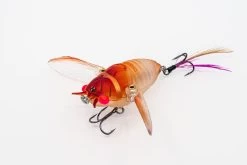 Chasebaits Ripple Cicada -Angling Discount Store Ripple Cicada RC43 05 Pink Stunner