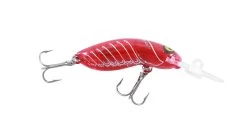 RMG Scorpion 35mm -Angling Discount Store S35FLT R46