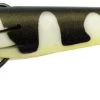 Zerek Flat Shad Pro