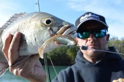 Tackle Tactics Snakelockz Jig Heads -Angling Discount Store full 1008