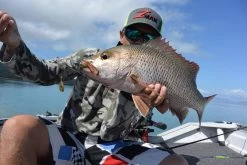 Tackle Tactics Jig Spinners -Angling Discount Store full 1269