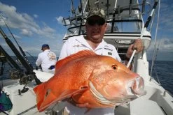 Wilson Aussie Made Fibreglass Gaffs 13 Wilson Aussie Made Fibreglass Gaffs -Angling Discount Store full 1791 IMG 9591