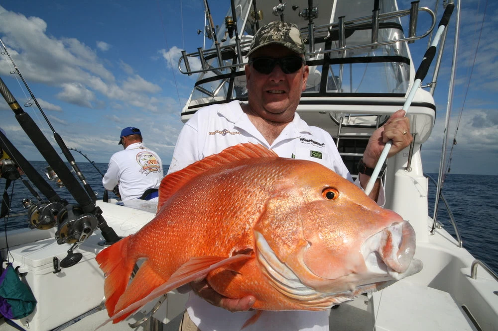 Wilson Aussie Made Fibreglass Gaffs 8 Wilson Aussie Made Fibreglass Gaffs - Image 6