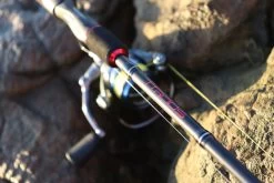 TTRods Red Belly Spin Rods 8 TTRods Red Belly Spin Rods -Angling Discount Store full 3272 TTRods RedBelly Outdoor 03 web