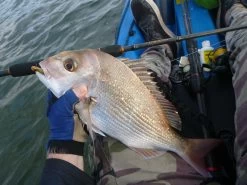 TTRods Copperhead Spin Rods -Angling Discount Store full 3278 P1170136