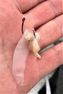 Mustad Pre-Pack Demon Light Gauge Circle Hook -Angling Discount Store full 3790 IMG E2275