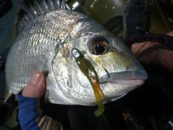 Tackle Tactics Finesse HeadlockZ Jig Heads -Angling Discount Store full 453