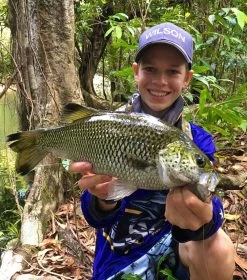 Zerek Absolute Shrimp -Angling Discount Store full 4737 IMG E3992