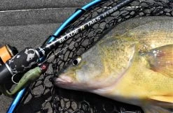 Live Fibre Blade N Tails 7 Live Fibre Blade N Tails -Angling Discount Store full 4748 DSC 0172