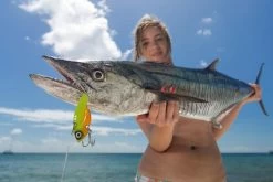 TT Switchblade HD Vibe -Angling Discount Store full 520