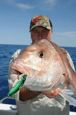 TT Switchblade HD Vibe -Angling Discount Store full 523