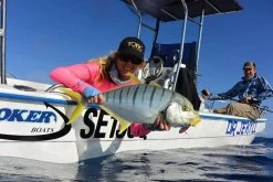 TT Switchblade HD Vibe -Angling Discount Store full 527