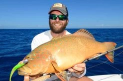 Tackle Tactics HeadlockZ HD Jig Heads -Angling Discount Store full 777