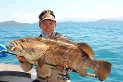 Tackle Tactics HeadlockZ HD Jig Heads -Angling Discount Store full 779