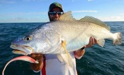 Tackle Tactics HeadlockZ HD Jig Heads -Angling Discount Store full 783