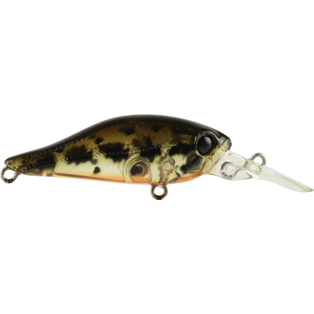 Atomic Hardz Shad Deep 40mm 11 Atomic Hardz Shad Deep 40mm - Image 9