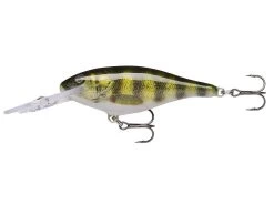 Rapala Shad Rap Deep Runner -Angling Discount Store live perch