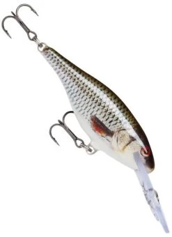 Rapala Shad Rap Deep Runner -Angling Discount Store live roach
