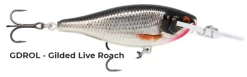 Rapala Shad Rap Elite -Angling Discount Store live roach f923145d aca0 4c11 aadf 1db6c3d0bde7