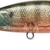 Lucky Craft Pointer 100DD AU -Angling Discount Store luccky craft pointer 100dd flake male gill 1