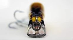 Zerek Barra X Pro -Angling Discount Store med 1988 Hero2