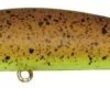 Jackson Bottom Magic Salt 2 Jackson Bottom Magic Salt -Angling Discount Store nkp