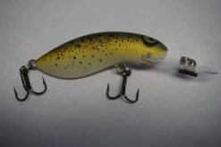 RMG Scorpion 35mm -Angling Discount Store r17