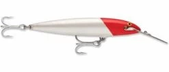 Rapala CountDown Magnum -Angling Discount Store read head 0da75c88 02df 4a00 b846 9946a6d5152d